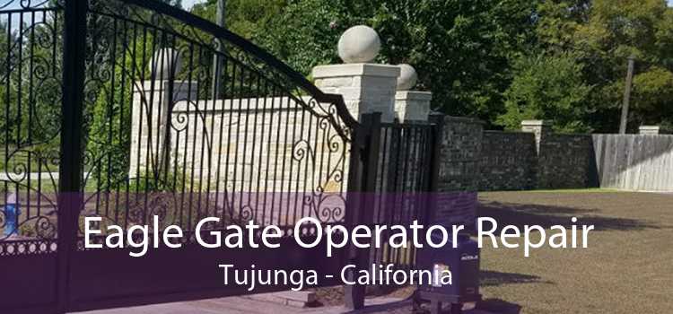 Eagle Gate Operator Repair Tujunga - California